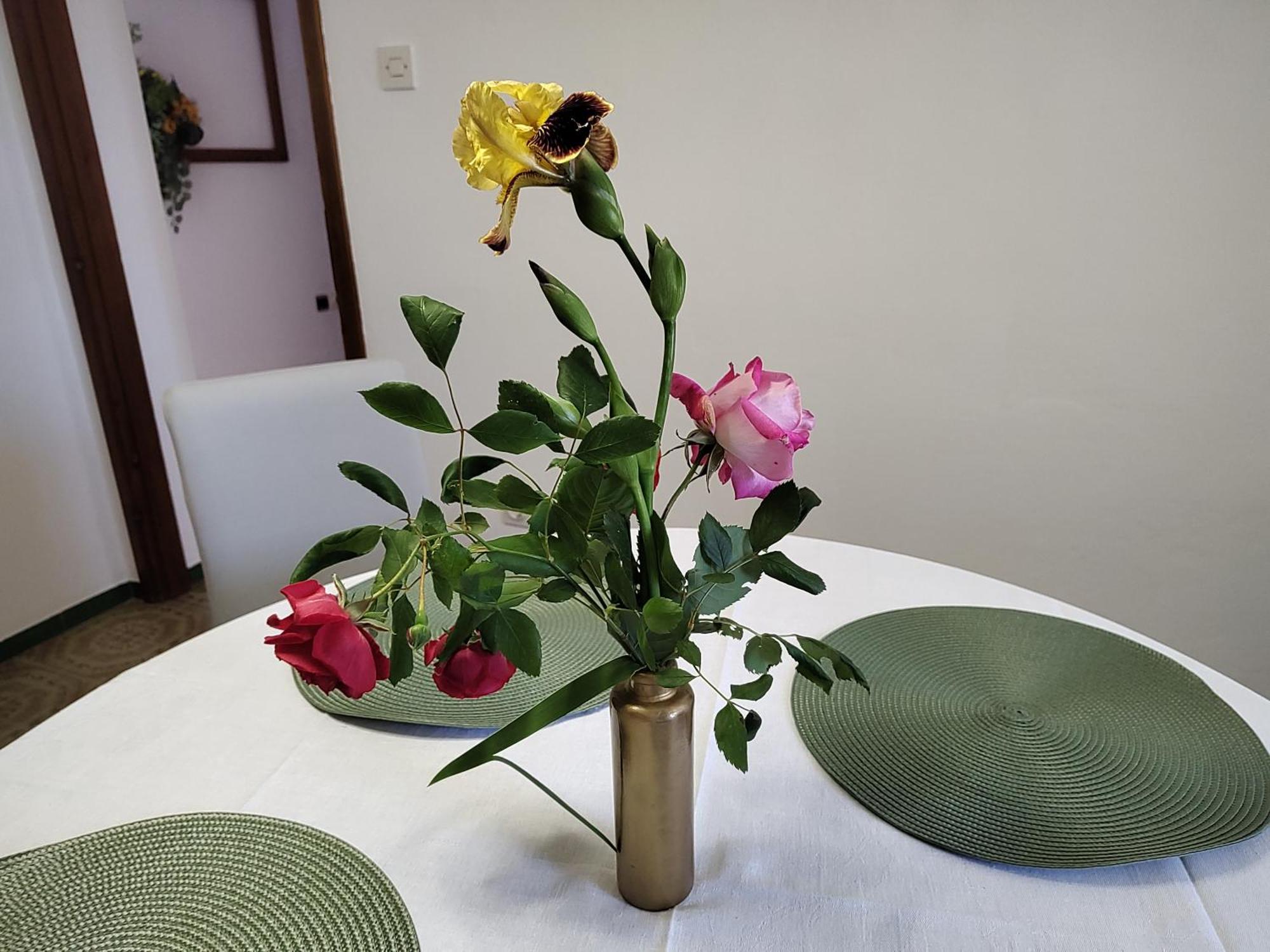 Spacious Quadria Near Motovun Apartmán