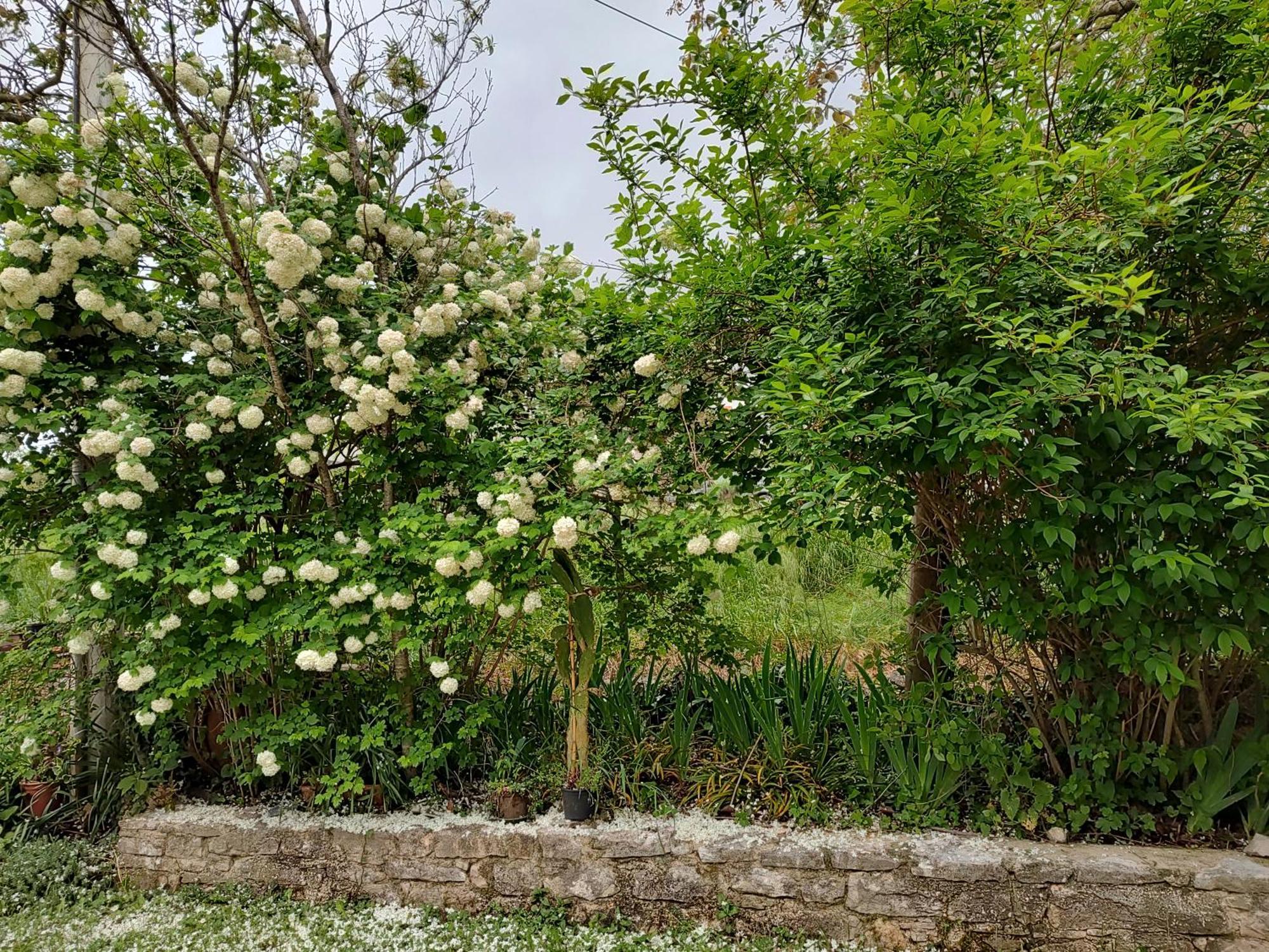 Spacious Quadria Near Motovun