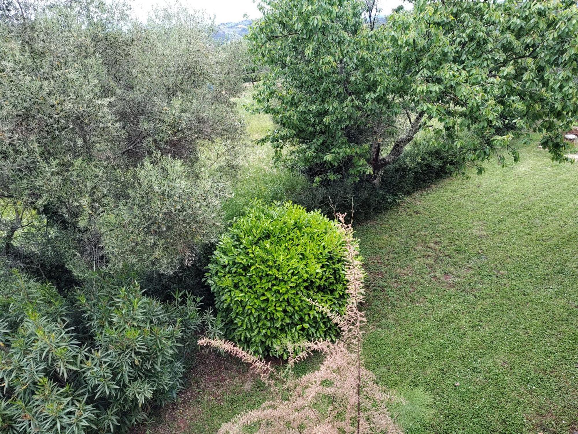 Spacious Quadria Near Motovun Apartmán